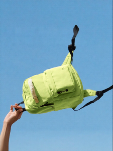 CHEECASE | Lightweight Small Outdoor Travel and Commute Backpack