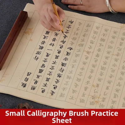 TANYEXUAN | Meditative Adult Calligraphy Book Moral Canon Small Regular Script Soft Brush Copying Scroll Scripture Handwritten Sutra