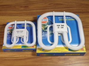 Bóng đèn bướm 2D huỳnh quanh cho đèn mâm trần 21W-38W ánh sáng trắng