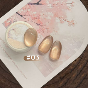 Bộ Sơn Móng Tay Gel Hạt Thủy Tinh Màu Hồng Nude 10ML Với Nam Châm Ánh Vàng Thiết Kế Mắt Mèo Dễ Thương Mới Năm 2026 Dụng Cụ Làm Móng Tay.
