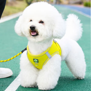 Vest Style Harness for Small Dogs