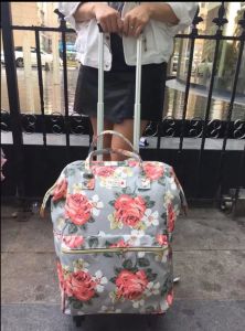 Portable Business Short Trips Womens Suitcase 20 Inches