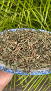 [Hàng mới về] Cây dạ cẩm khô 500g - tấn phát - Chuyên dùng để thanh nhiệt giải độc và lợi tiểu - Dùng để nấu trà