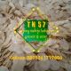 TN57 EMPING KEBUMEN
