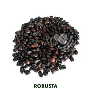 [Kape Amigo] Kapeng Robusta Coffee Beans & Grounds [in Thick Plastic]