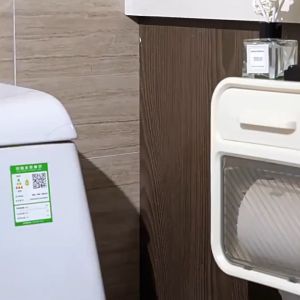 Toilet Tissue Box & Wall Mount Toilet Paper Holder: A Comprehensive Guide