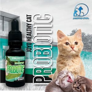 VITAMIN BREEDING KUCING | MENINGKATKAN PRODUKSI KUCING | HEALTHY CAT PROBIOTIC 20 ML