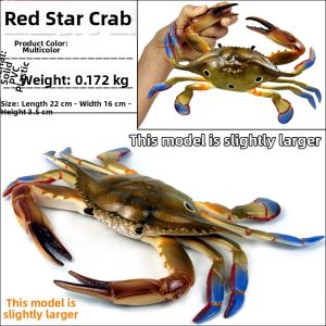 Simulation Solid Crab Lobster Model Toy