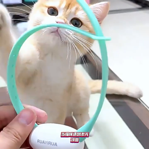 COD ปลอกคอแมวเลเซอร์ ปลอกคอไฟเลเซอร์ สำหรับแมวและสุนัข ปลอกคอจูง ปรับมุมได้ 41° ของเล่นแมวอัตโนมัติ มาพร้อมสายชาร์จ