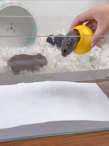 Hamster Bathing Sand 500g Hamster Bath Natural Hamster Sand Anti-bacterial Deodorant Bath Sand For Hamsters 仓鼠浴砂/沐浴砂