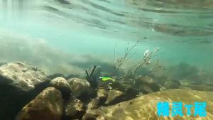 21cm Pelari Jalan Umpan Pancing Karet Umpan Bentuk Ikan Memancing Di Laut Soft Lure Bentuk Ikan