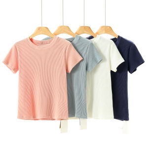 Slim Fit Cotton Short Sleeve T-Shirt Korean Style Casual Wear Daily Knitted round Neck Regular Length Spring Summer Fashion