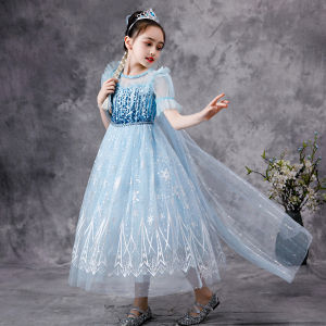 Elsa Princess Costume Dress