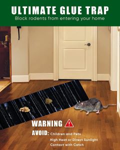 Ms. Clean Big Sticky Mice Glue Trap: An Effective Rodent & Pest Solution