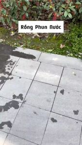 Rồng Con Phun Nước Khủng Long Mặt Cọc Bắn Nước Rồng Troll Dễ Thương Đồ Chơi Trẻ Em Mùa Hè Đi Biển Đi Tắm Quà Tặng