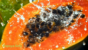 PAPAYA SEEDS SOLO VARIETY HYBRID