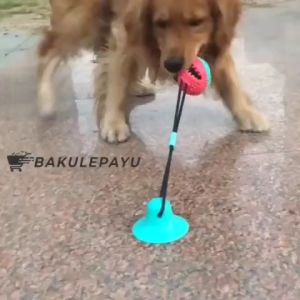 Mainan Bola Hewan Tali Peliharaan Gigitan Anjing Kunyah TPR Ball Molar Suction Dog