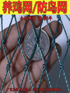 Polyethylene Farming Net Poultry Farming Chicken Net Orchard Fish Pond Bird Proof Net Protective Fence Outdoor Enclosure Net