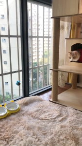 Cat house warm pet house dual rattan dog house hanging cat basket four seasons general purpose mat can be disassembled and washed