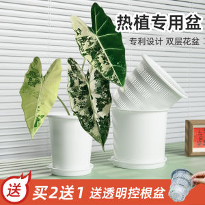 Double Layer Heat Plant Special Flower Pot Velvet Elephant Ear Flower Candle Root Control Breathable Suite Pot Simple Style