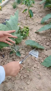 Cangkul Tanah Kecil Cangkul Besi Mini Cangkul Rumput Hoe All steel Hardened Hollow Handheld Weeding Rake Farms  小锄头