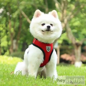 High Quality Pet Dog Cat Harness with Leash Mesh Vest and Leash Set