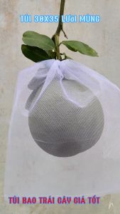 [ 35*40cm ] 100 CÁI TÚI LƯỚI TỐT BAO BỌC TRÁI BƯỞI MÃNG CẦU DƯA LƯỚI GIÚP BẢO VỆ TRÁI CÂY