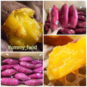 พร้อมส่ง‼️1KG มันหวานญี่ปุ่นสด เบนิฮารุกะ sweet potato ปลูกเวียดนาม