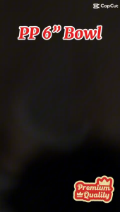 6 Inch PP Disposable Bowl (Natural) - Food Grade Leakproof Plastic Bowl | 100pcs/Pack | 1 Carton = 600pcs | Single Use Disposable Bowl for Noodles Soup & Rice | F&B Packaging Supply