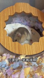 【READY-STOCK】Hamster Bath Sand 1kg Cleaning Bath Sand/Pasir Mandi Hamster Lemond Lavender Apple 仓鼠浴沙 小宠浴沙 仓鼠浴砂 小宠物浴室