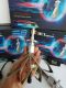 Đèn Led Kim Ngân 0976316337