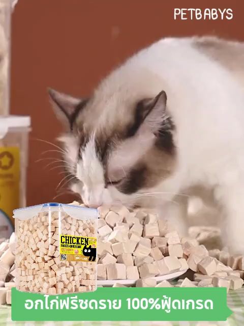 Pet Paradise Chicken Feast Delight 640g - High-Protein Freeze-Dried Cat Treats