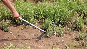 Garden Hoe Head Weeding Hoe Rake Loosening Soil Weeding Remover Tool Cangkul rumput tajam 锄头