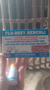 Combo Hộp 10 Lọ Flodoxy Hencoli 10ml chuyên viêm phổi sưng phù đầu chảy bọt mắt ngáp hen suyễn khò khè khó thở thương hàn ở gà đá và thú cưng