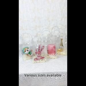 PVC TOTE BAG Transparent Goodies Bag Clear Button Plastic Handbag Clear Packaging Bag Door Gift Bag Wedding 禮物袋