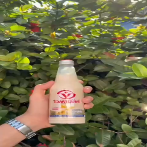 THAILAND VIRAL VITAMILK 300ML / THAILAND VIRAL SOY MILK DRINK 300ML