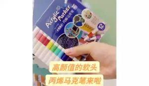 Quick Dry Acrylic Paint Pens Waterproof Fine Tip for Canvas Wood Glass DIY Art Drawing Ergonomic Design for Adults Students Gif