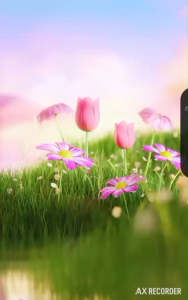 ODBO OD1333 BLUSH & HIGHLIGHT DUO บลัชออนพร้อมไฮไลท์ เนื้อชิมเมอร์ เกลี่ยง่าย ติดทน