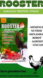 ROOSTER EXTRA FOODING AYAM LAGA 1 RENTENG - sarapan bernutrisi tinggi ayam