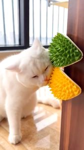 Corner Massage Durian Shaped Self Groomer Catnip Comb Toy / Tickling Comb with Catnip