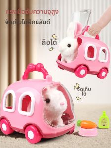 Electric Walking and Vocalizing Stuffed Toy