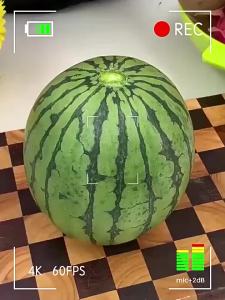 Stainless Steel Watermelon Slicer Handheld Thicken Melon Cutting Tool Fast Cutting Convenient Fruit Cutter Camping Party