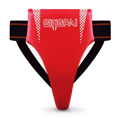 GINGPAI | Combat Sports Groin Guard