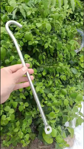 Móc Treo Quạt Trần Inox (Dài 35cm) (Ø 11mm) Chống Gỉ Dùng Treo Chậu Cây Treo Vật Dụng Gia Đình