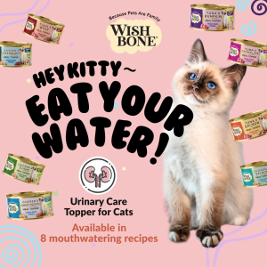 [Bundle of 6] Wishbone Cat Urinary Care Wet Topper 85g for Hydration and Urinary Health