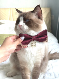 Wedding Tie for Pets Red Decorative Bowtie Necktie for Dogs And Cats Marriage Ceremony Pet Accessories Butterfly Knot Collar