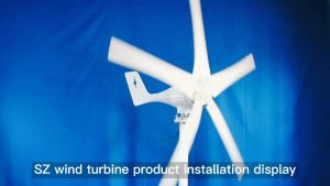 Wind Turbine Generator 1000W 12V/ 24V/ 48V Generator Angin Pembangkit Listrik Tenaga Angin