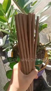 Đũa Buông Bình Thuận đũa buông cao cấp từ sóng lá cây buông đũa gỗ tự nhiên chống mốc không phun hóa chất an toàn sức khỏe
