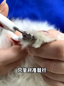 Cat Claw Scissors Pet Grooming Nail Clipper Pet Nail Cutter Cat Dog Nails Trimmer 宠物指甲剪