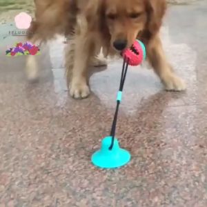 Mainan Gigitan Bola Anjing Kunyah Gigitan TPR Molar Suction Tempel Dog Main Hewan